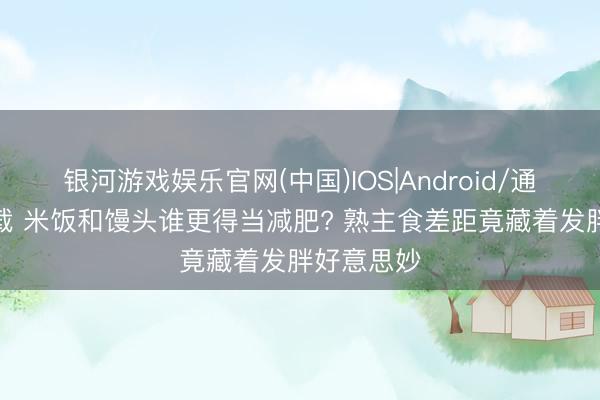 银河游戏娱乐官网(中国)IOS|Android/通用APP下载 米饭和馒头谁更得当减肥? 熟主食差距竟藏着发胖好意思妙