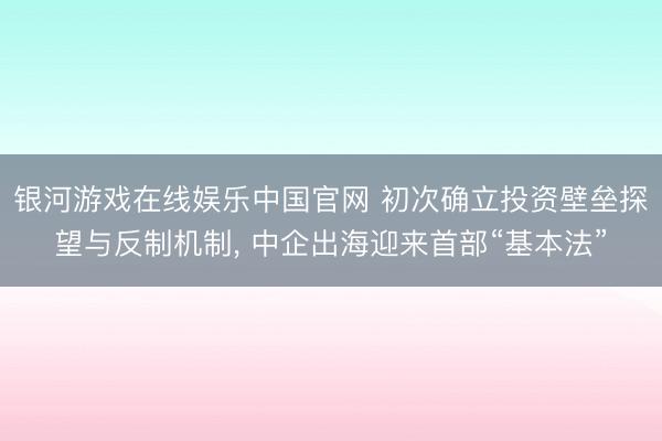 银河游戏在线娱乐中国官网 初次确立投资壁垒探望与反制机制, 