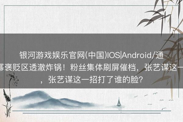 银河游戏娱乐官网(中国)IOS|Android/通用APP下载 杨幂褒贬区透澈炸锅！粉丝集体刷屏催档，张艺谋这一招打了谁的脸？